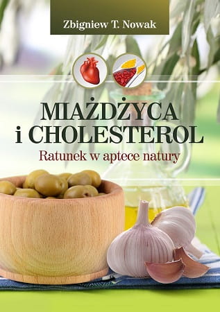 Miażdżyca i cholesterol. Ratunek w aptece natury