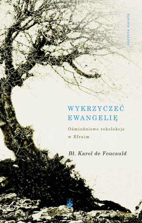 Wykrzyczeć Ewangelię. Ośmiodniowe rekolekcje w Efraim