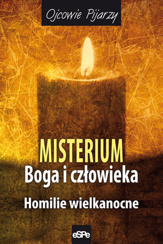 Misterium Boga i człowieka. Homilie wielkanocne