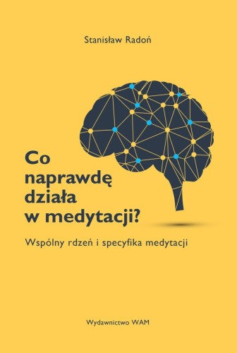 Co naprawdę działa w medytacji? Wspólny rdzeń i specyfika medytacji