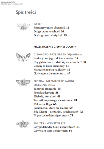 Odwaga zaufania ciemności. Duchowa pomoc w doświadczeniu depresji