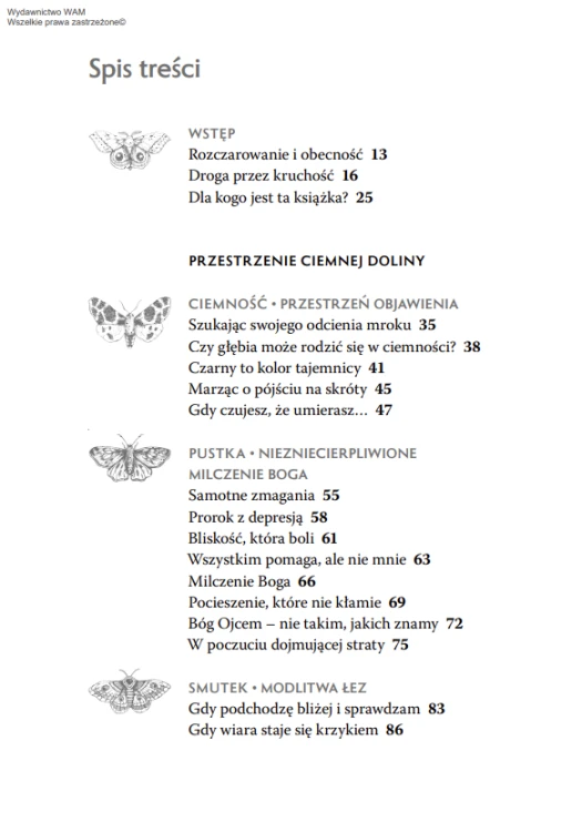 Odwaga zaufania ciemności. Duchowa pomoc w doświadczeniu depresji
