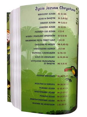 Pismo Święte dla młodych  (z paginatorami)